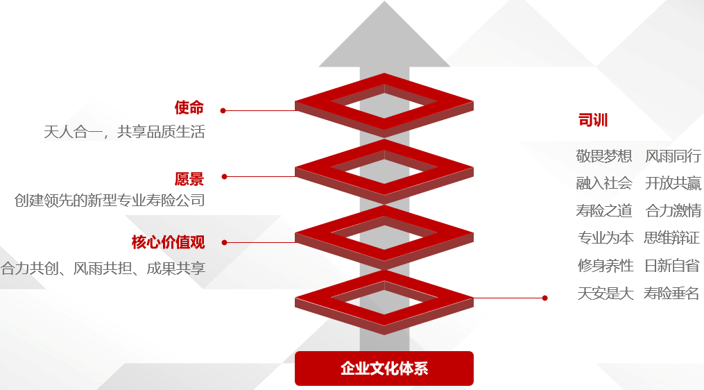 天安人寿保险公司简介