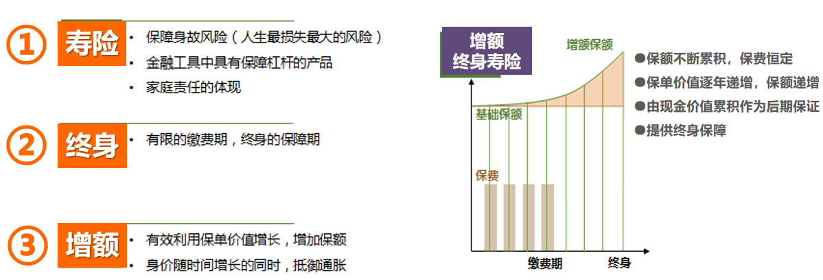 中英人寿安鑫传家增额终身寿险