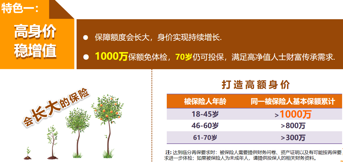 中英人寿安鑫传家增额终身寿险