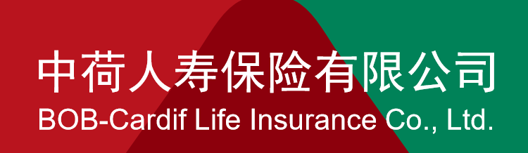 中荷人寿保险公司简介