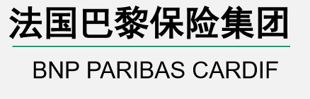 中荷人寿保险公司简介